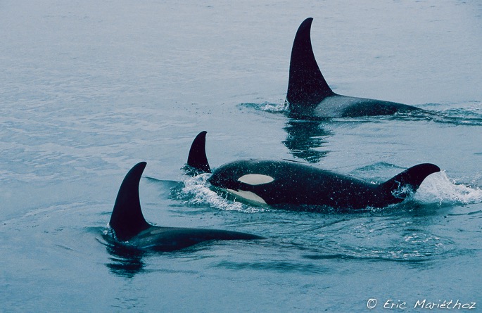 alaska_32