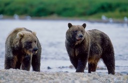 alaska_34