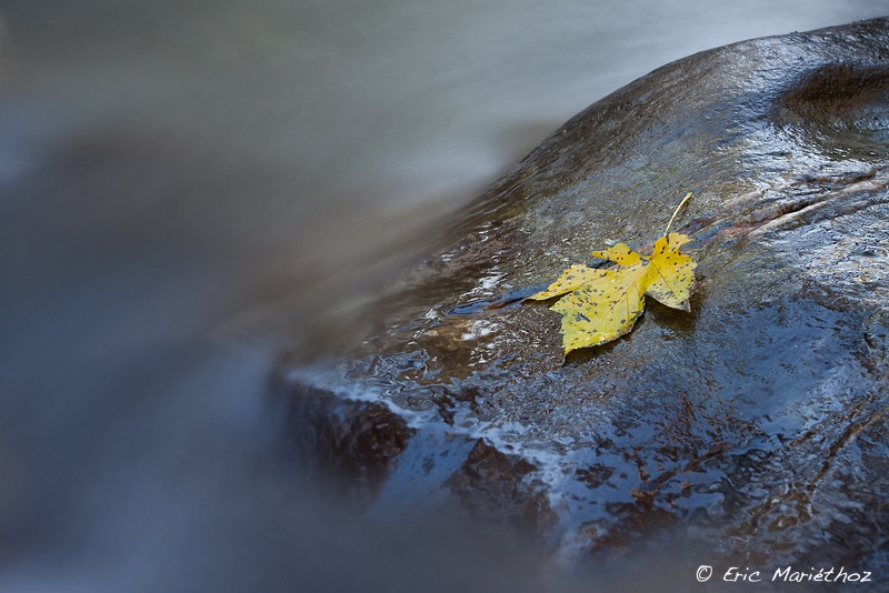 fil_eau_Printze-6