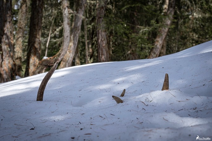 mue_cerf_2023-134