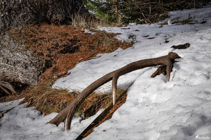 mue_cerf_2023-178